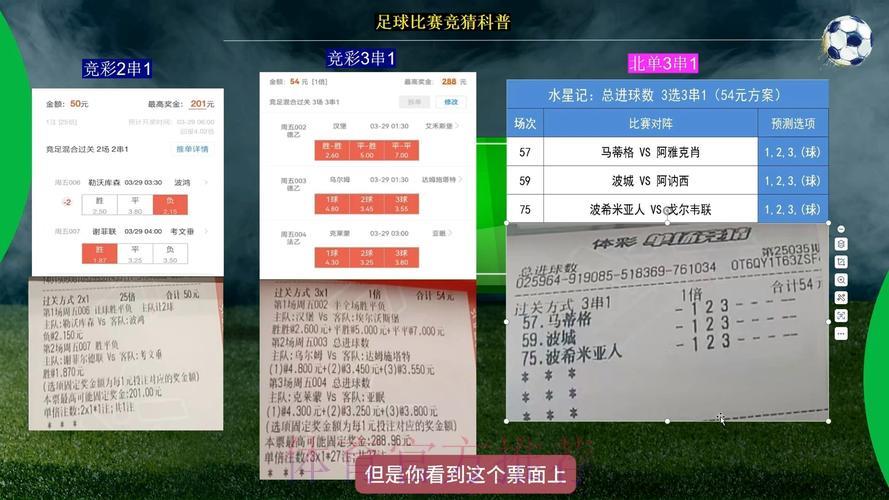 深度剖析世界杯竞猜软件的核心功能与亮点特性